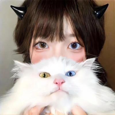 观鸟者
